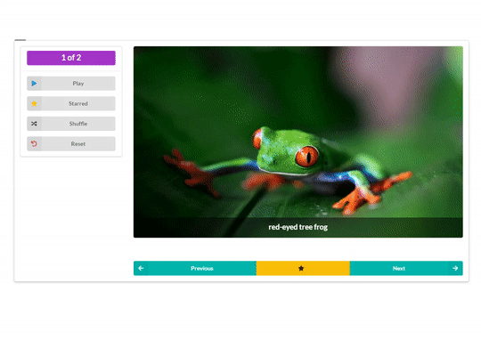 Customer profile user interface
